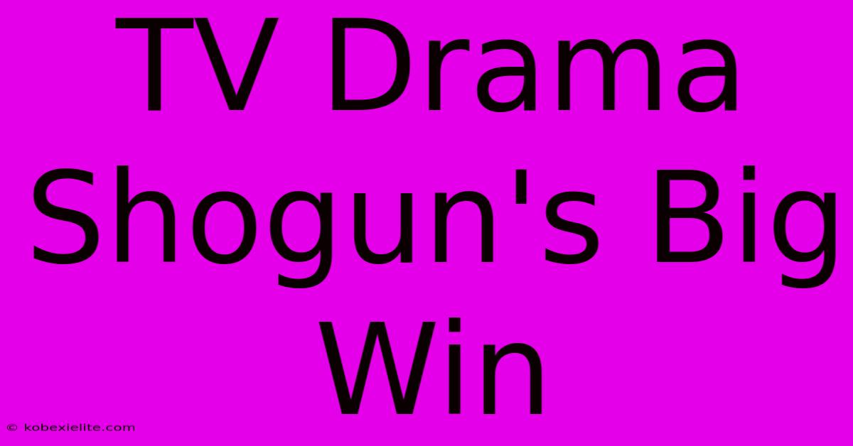 TV Drama Shogun's Big Win