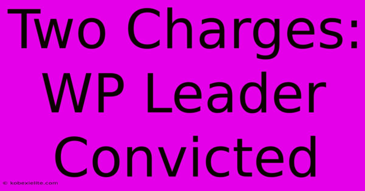 Two Charges: WP Leader Convicted