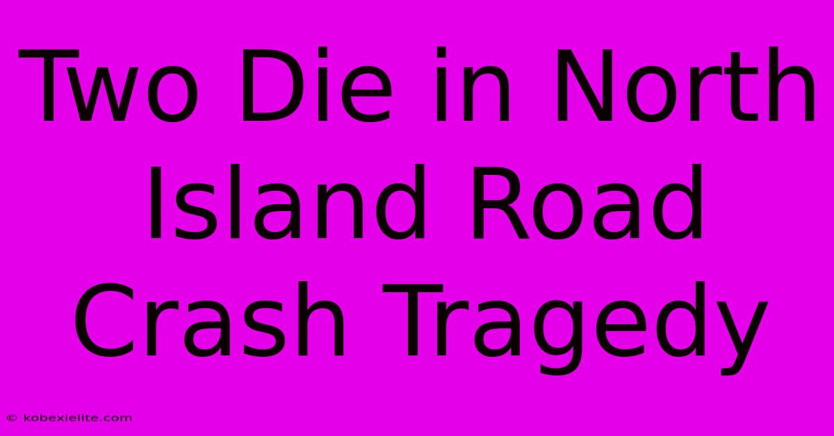 Two Die In North Island Road Crash Tragedy