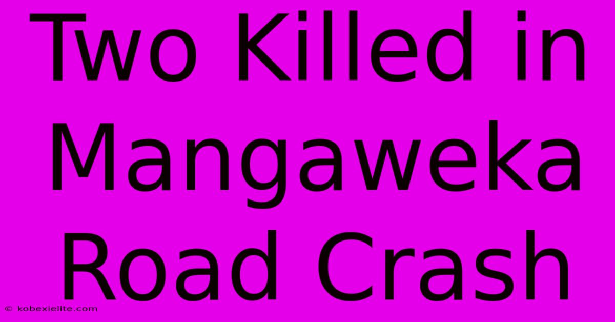 Two Killed In Mangaweka Road Crash