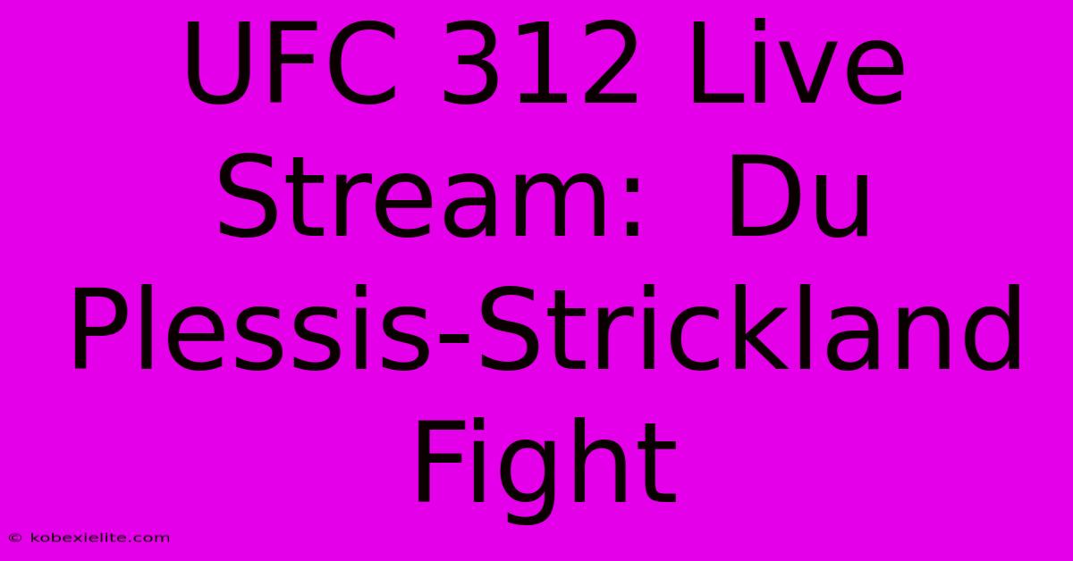 UFC 312 Live Stream:  Du Plessis-Strickland Fight