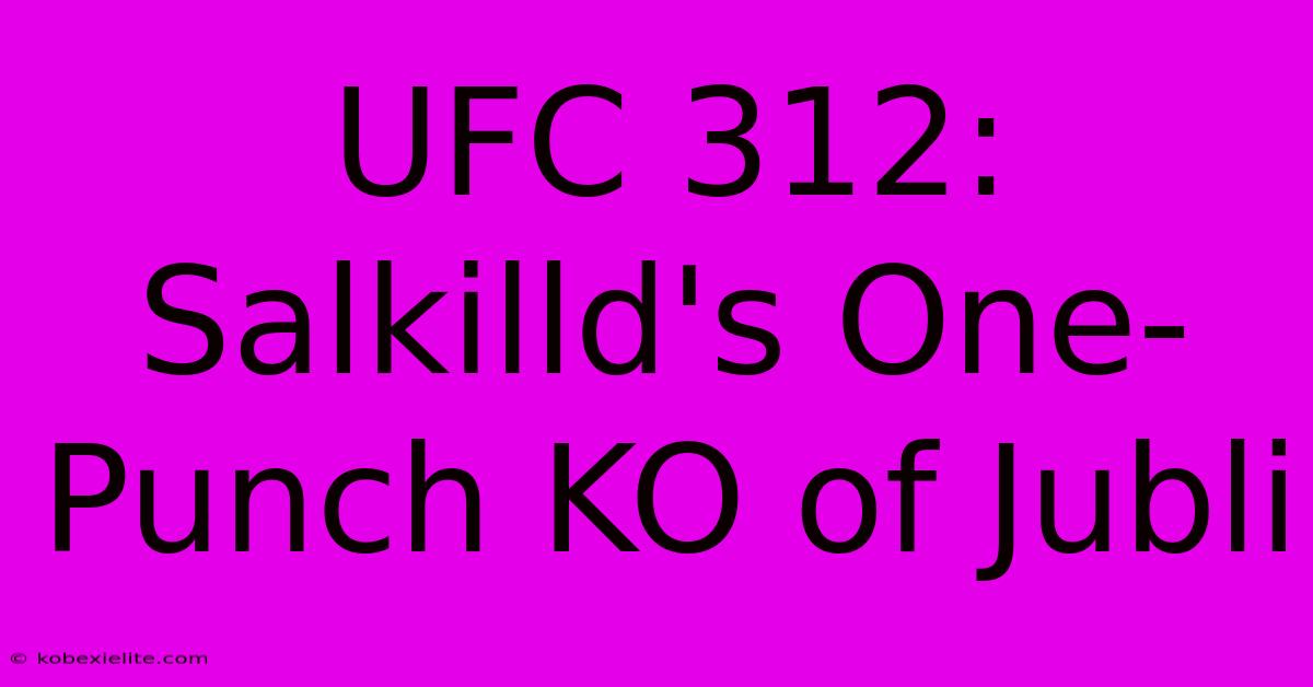 UFC 312: Salkilld's One-Punch KO Of Jubli