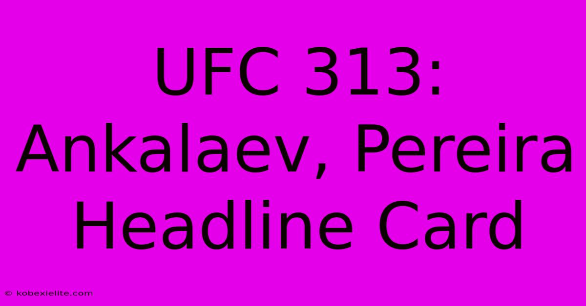 UFC 313: Ankalaev, Pereira Headline Card