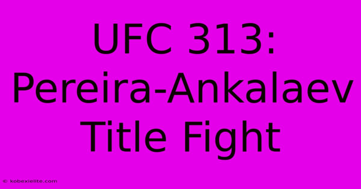 UFC 313: Pereira-Ankalaev Title Fight