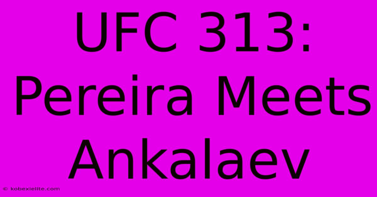 UFC 313: Pereira Meets Ankalaev