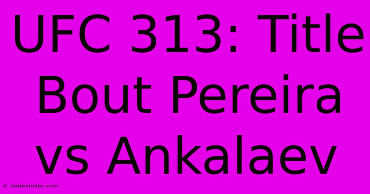 UFC 313: Title Bout Pereira Vs Ankalaev