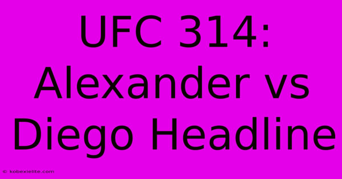 UFC 314: Alexander Vs Diego Headline