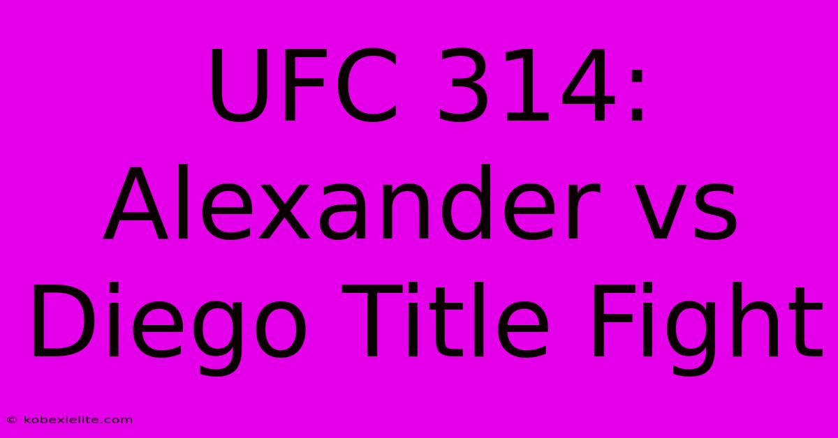 UFC 314: Alexander Vs Diego Title Fight