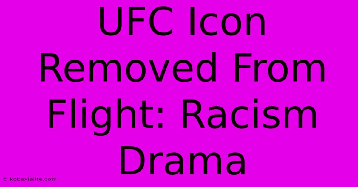 UFC Icon Removed From Flight: Racism Drama