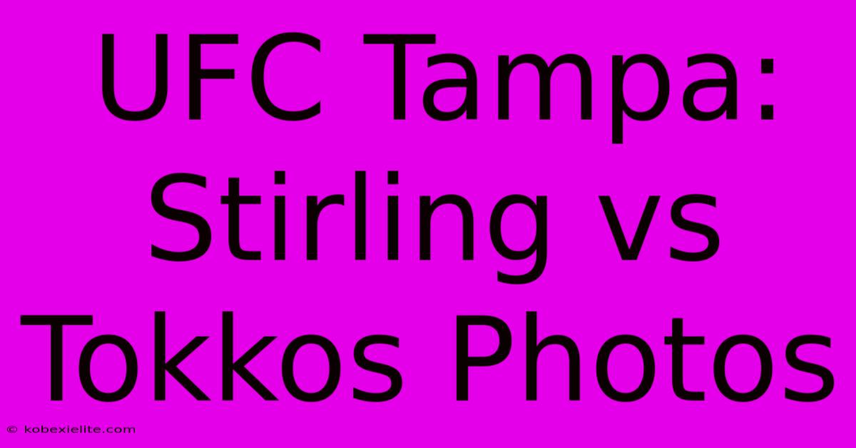 UFC Tampa: Stirling Vs Tokkos Photos UFC Tampa: Stirling Vs Tokkos Photos