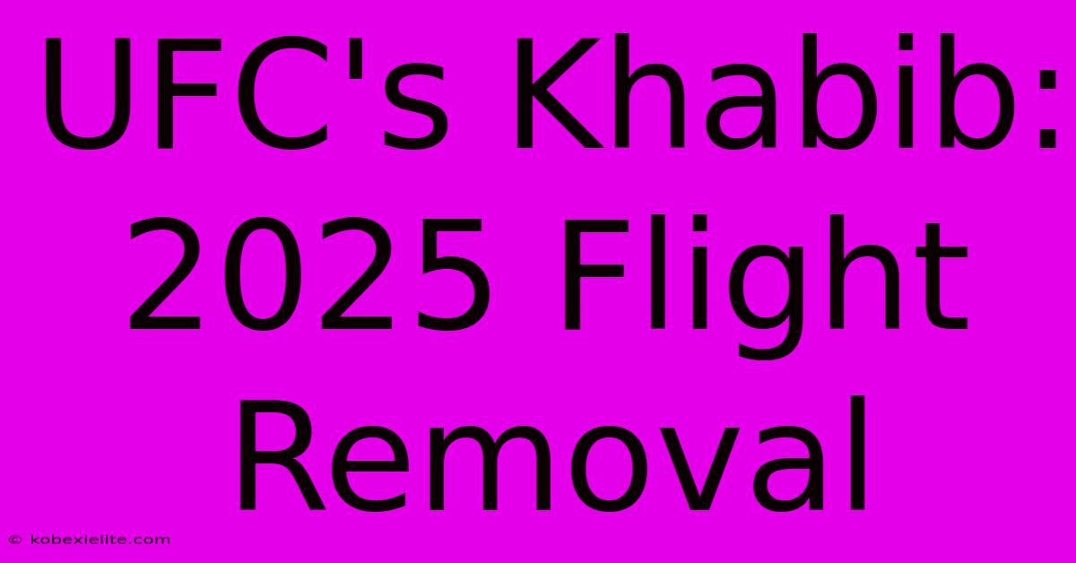 UFC's Khabib: 2025 Flight Removal