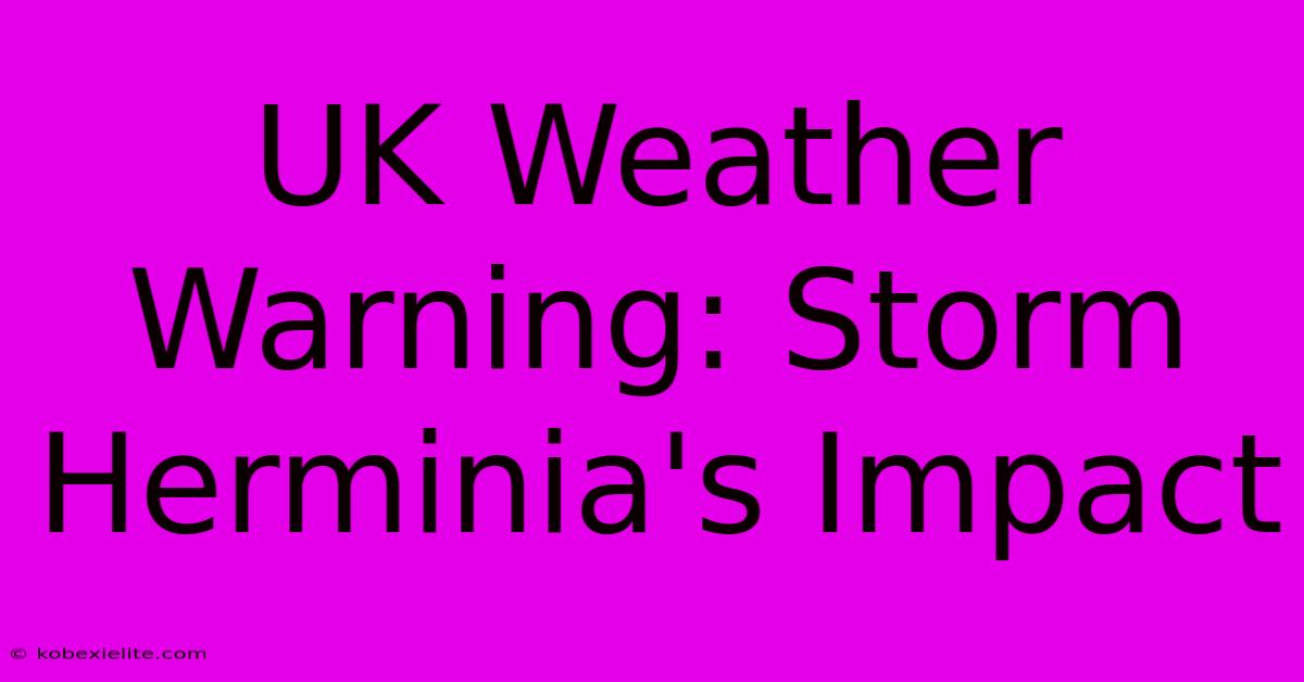 UK Weather Warning: Storm Herminia's Impact