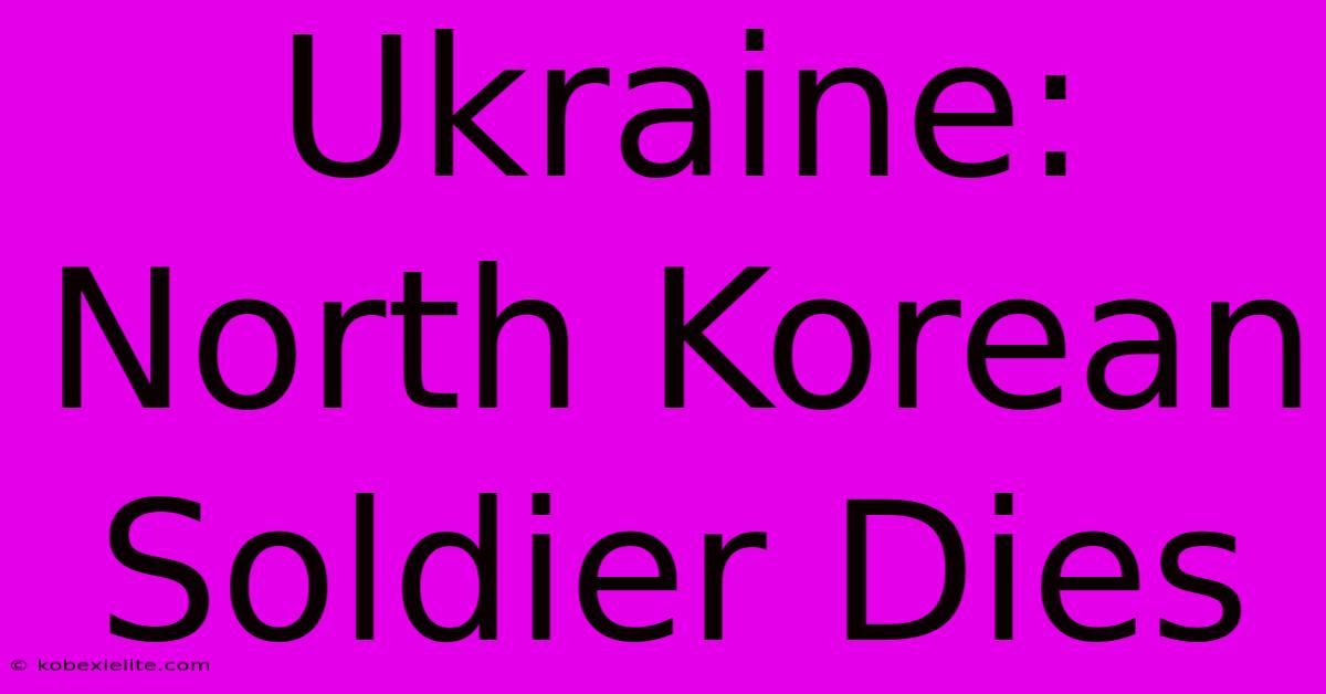 Ukraine: North Korean Soldier Dies