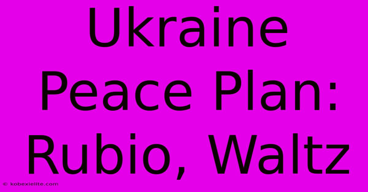 Ukraine Peace Plan: Rubio, Waltz