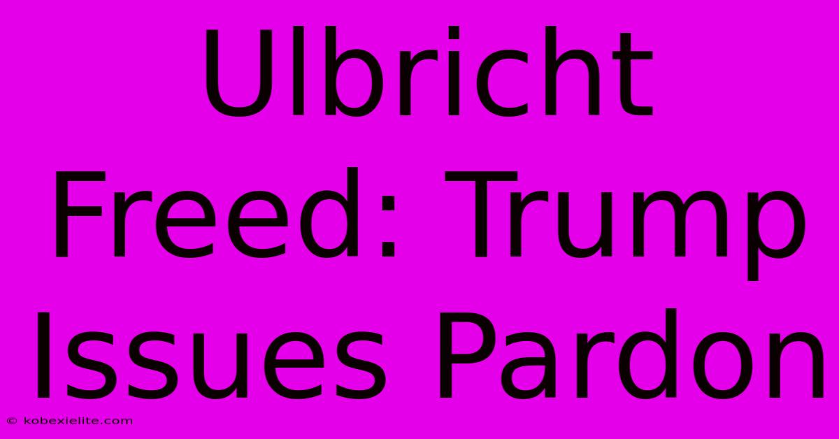 Ulbricht Freed: Trump Issues Pardon