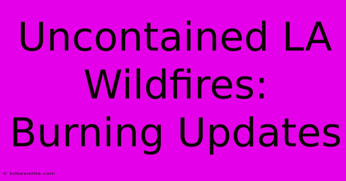 Uncontained LA Wildfires: Burning Updates