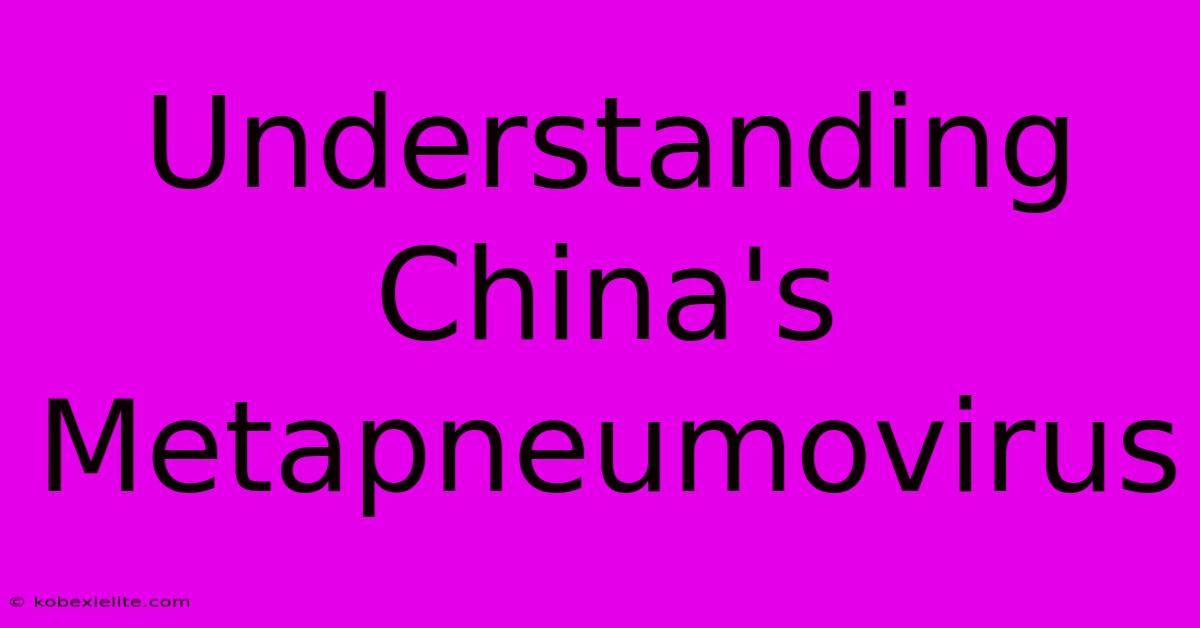 Understanding China's Metapneumovirus