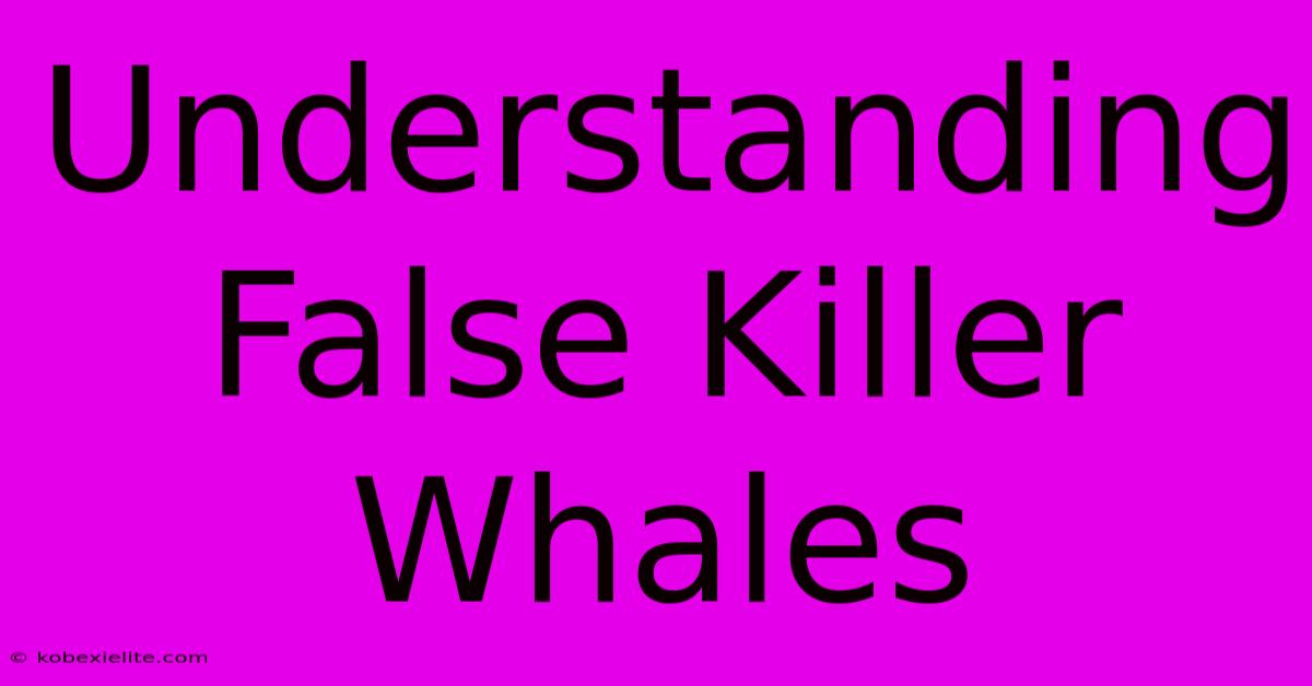 Understanding False Killer Whales