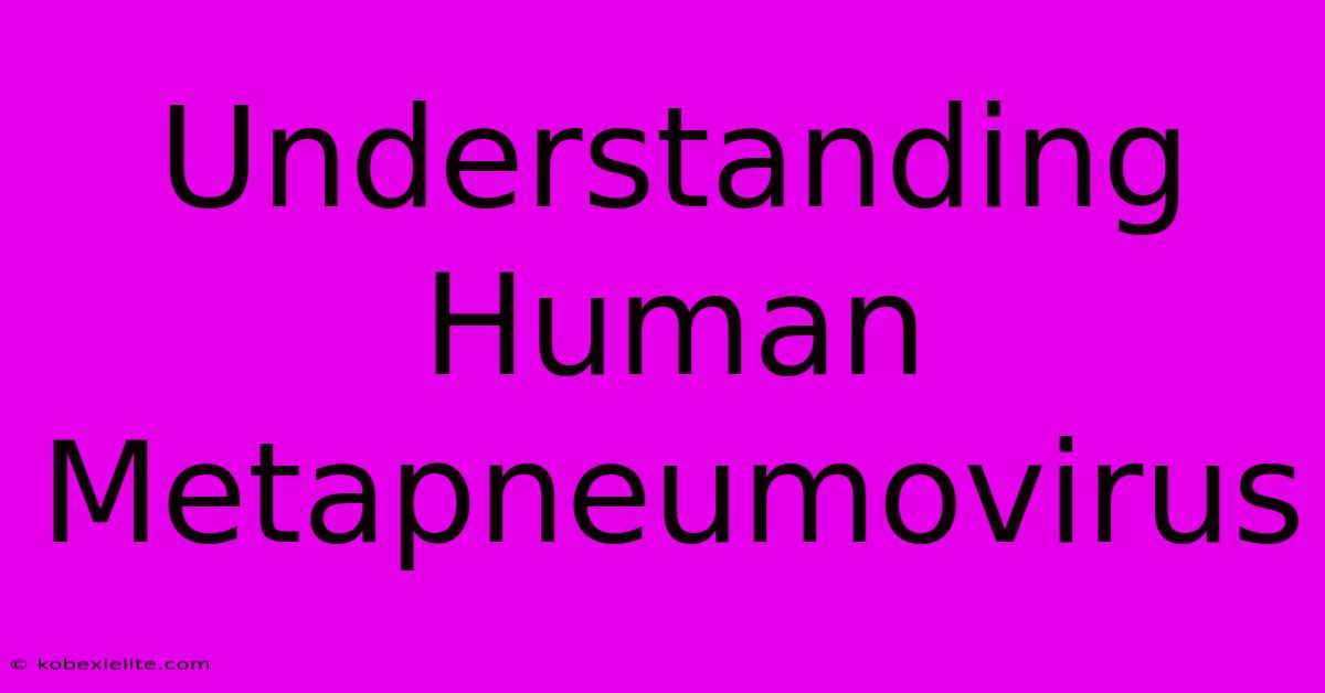 Understanding Human Metapneumovirus