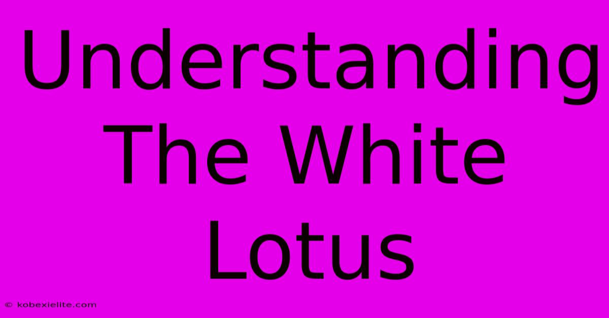 Understanding The White Lotus