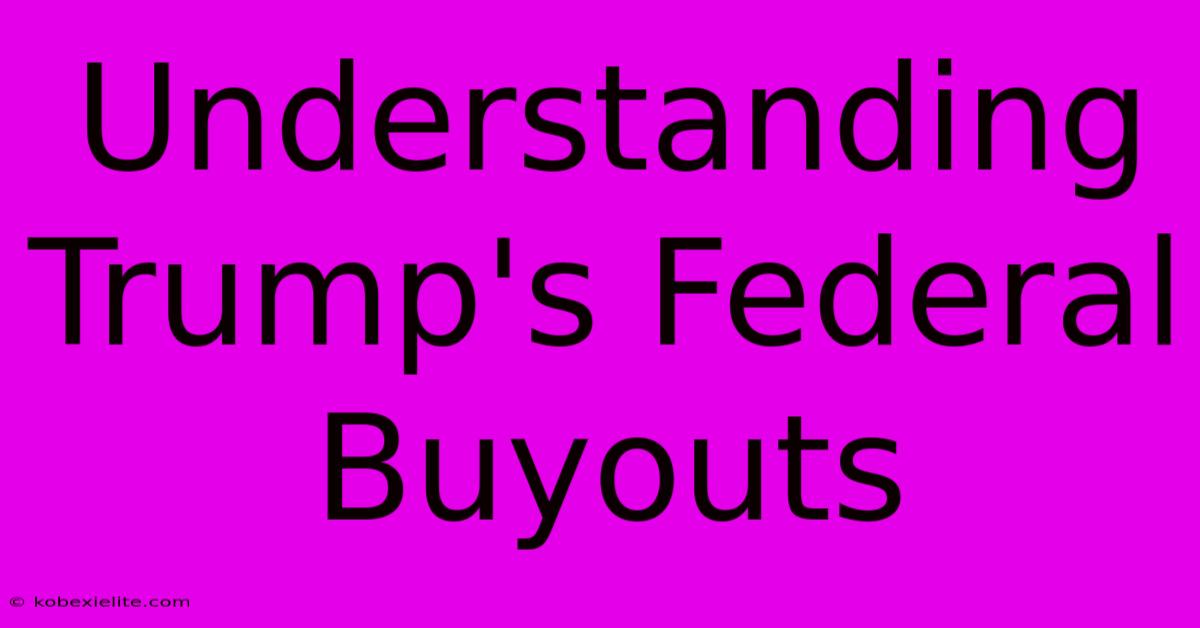 Understanding Trump's Federal Buyouts