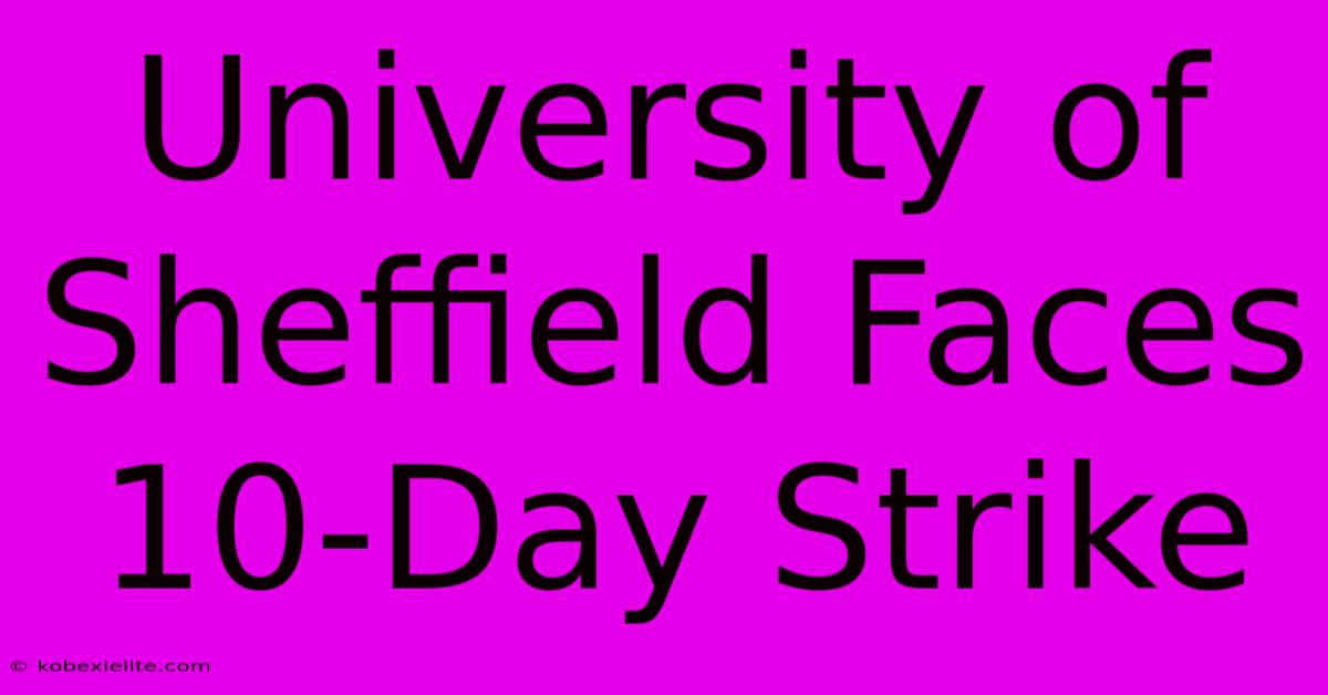 University Of Sheffield Faces 10-Day Strike