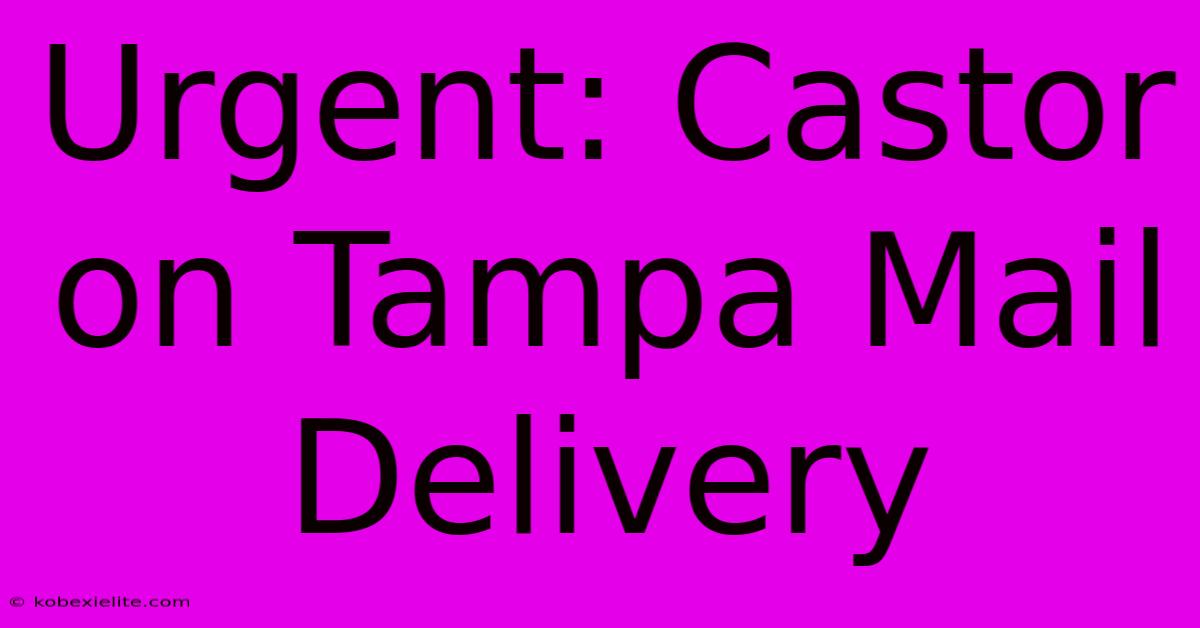 Urgent: Castor On Tampa Mail Delivery