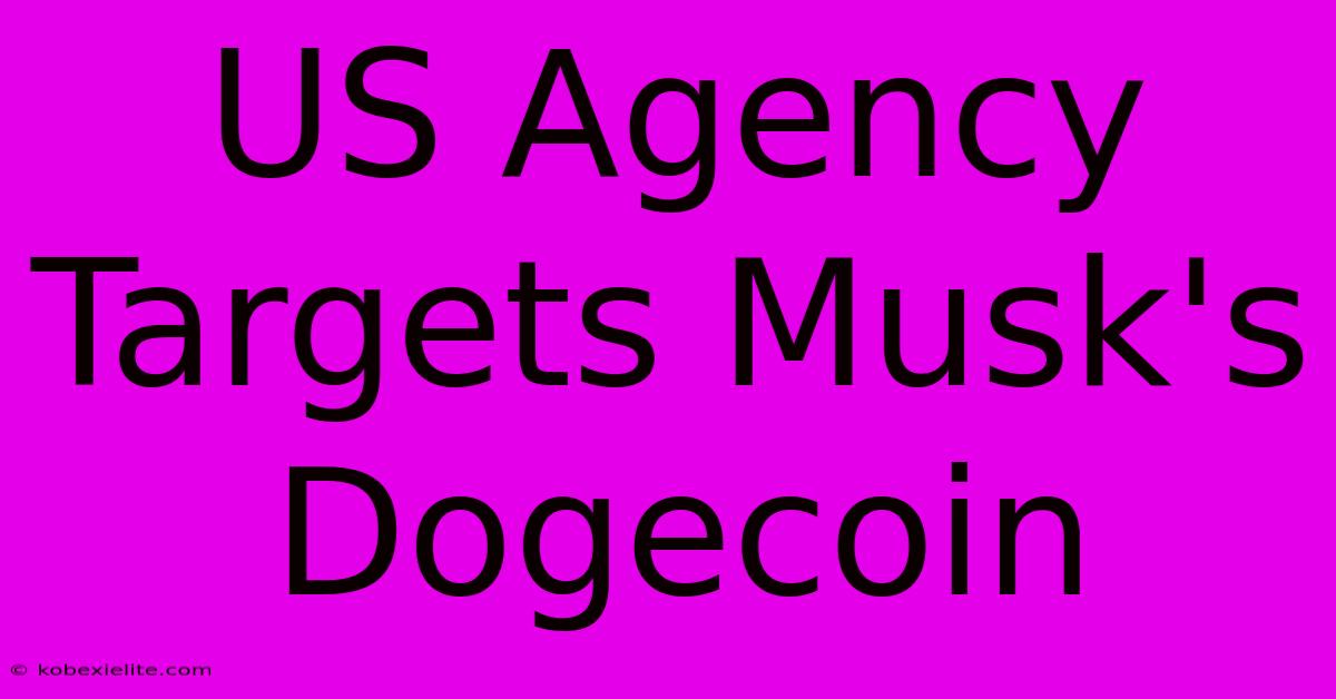 US Agency Targets Musk's Dogecoin