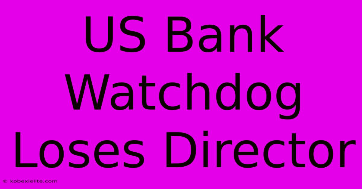 US Bank Watchdog Loses Director