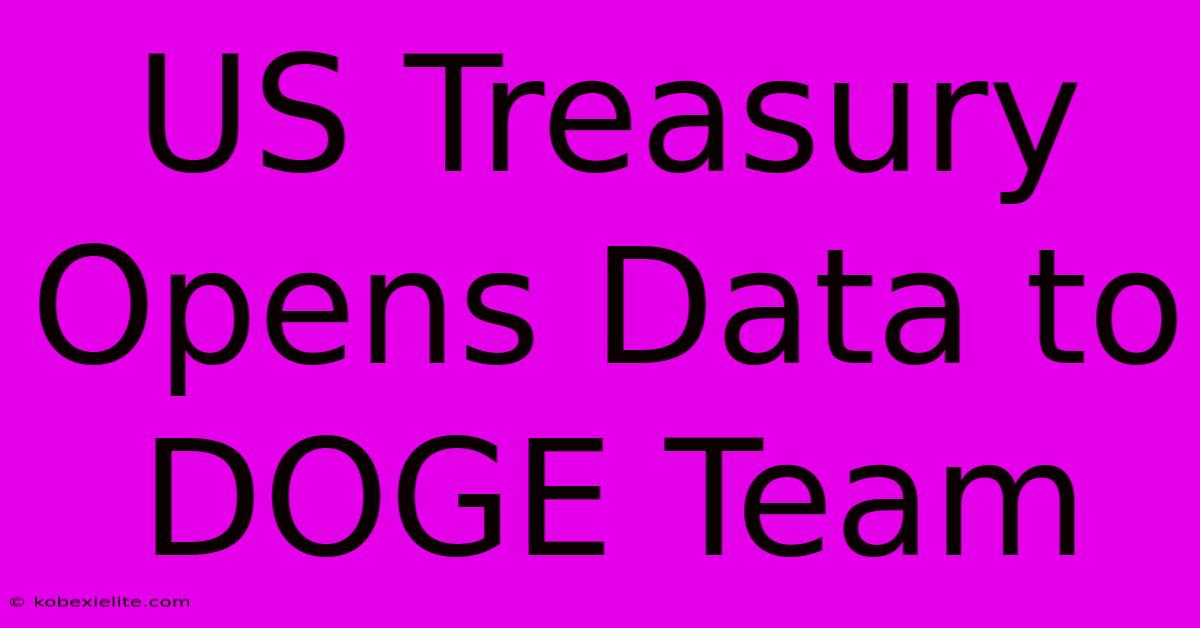 US Treasury Opens Data To DOGE Team