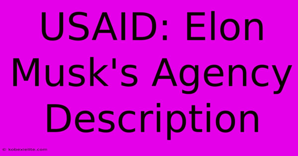 USAID: Elon Musk's Agency Description