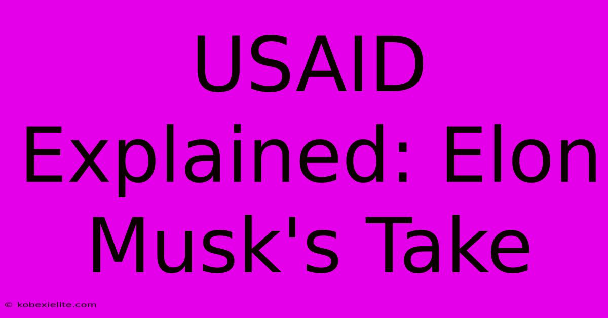 USAID Explained: Elon Musk's Take