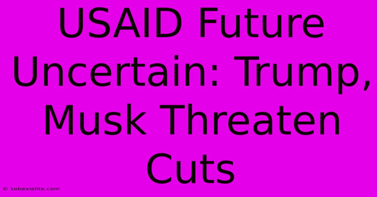 USAID Future Uncertain: Trump, Musk Threaten Cuts