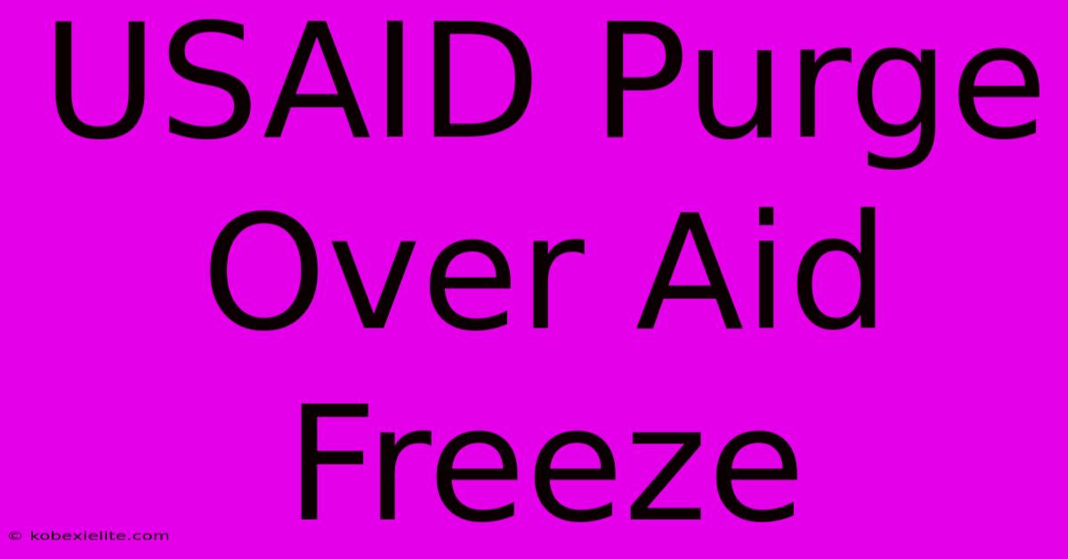 USAID Purge Over Aid Freeze