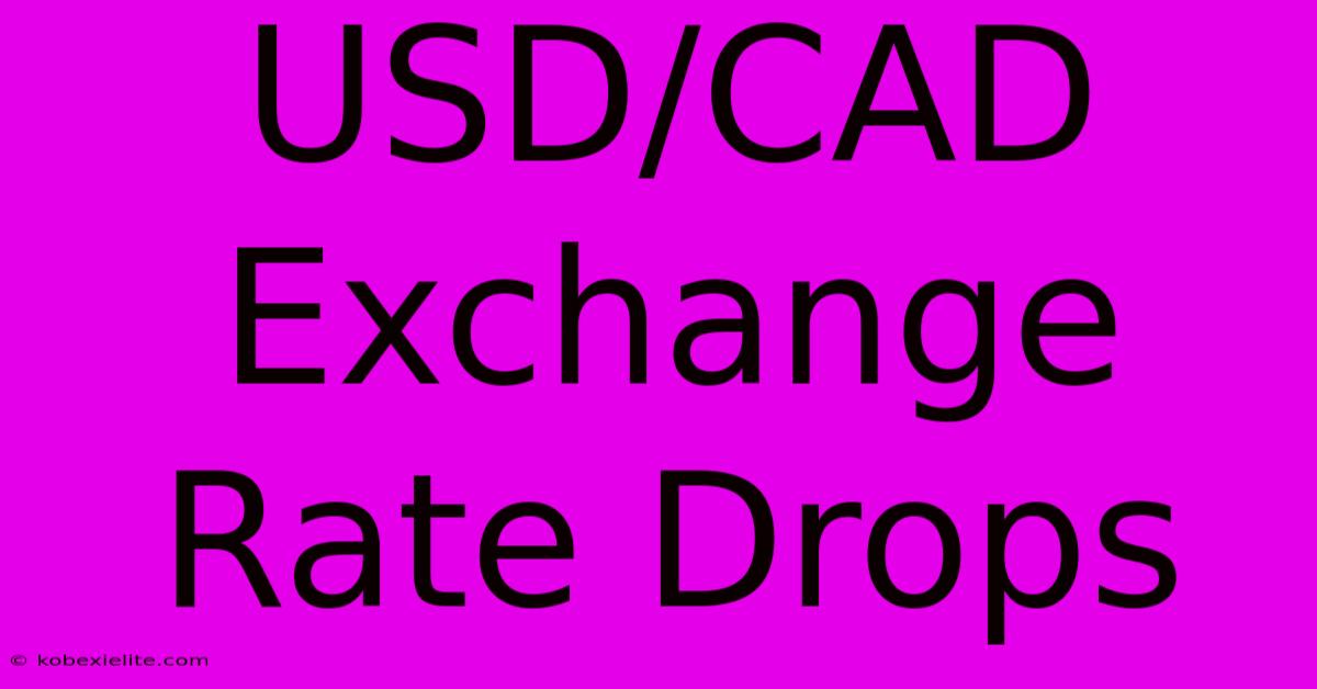 USD/CAD Exchange Rate Drops