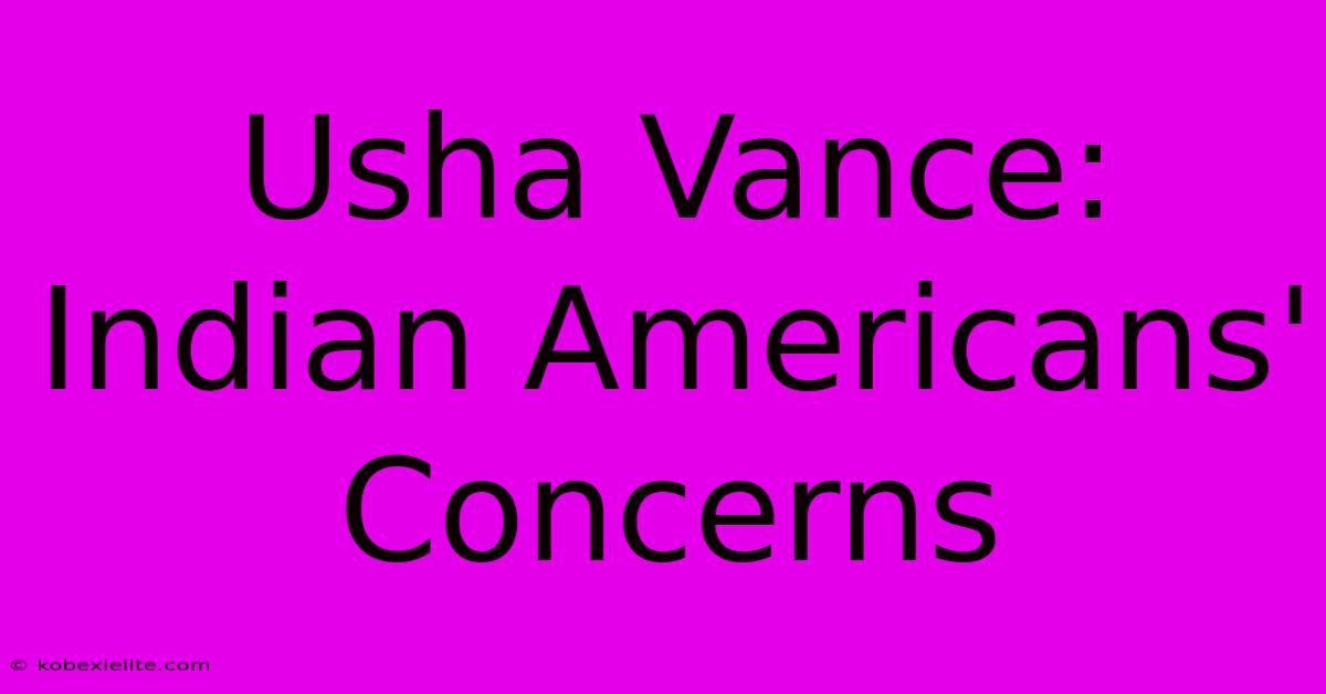 Usha Vance: Indian Americans' Concerns