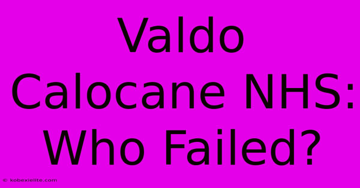 Valdo Calocane NHS: Who Failed?