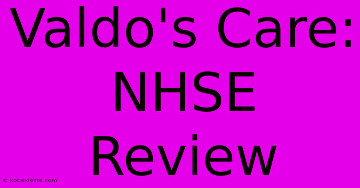 Valdo's Care: NHSE Review