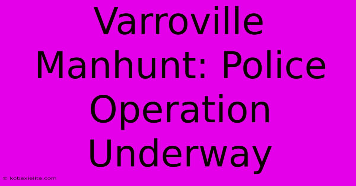 Varroville Manhunt: Police Operation Underway