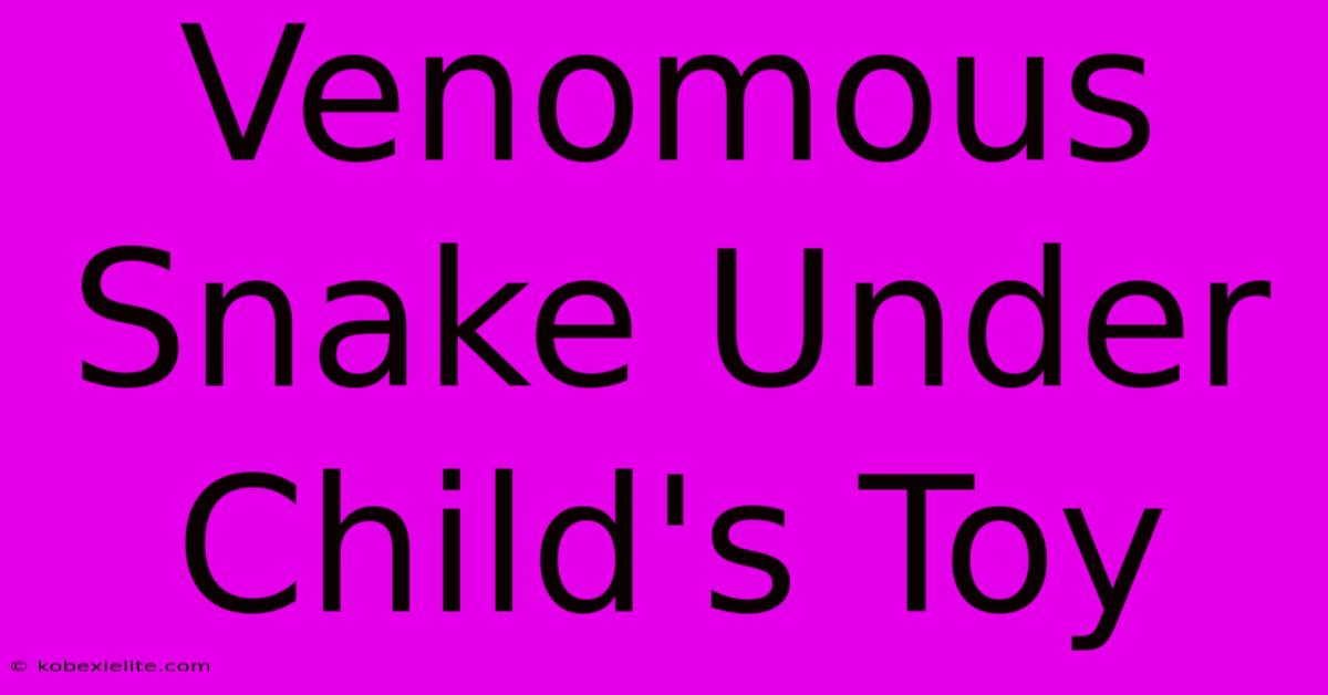 Venomous Snake Under Child's Toy