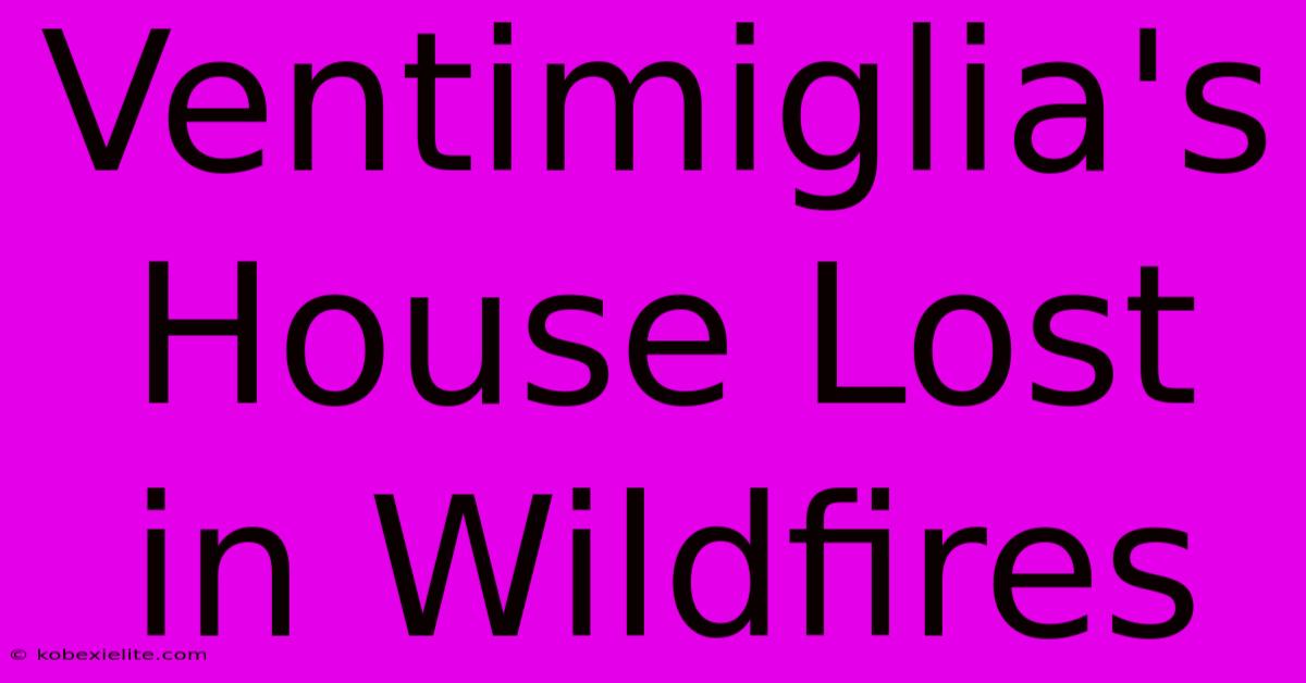 Ventimiglia's House Lost In Wildfires