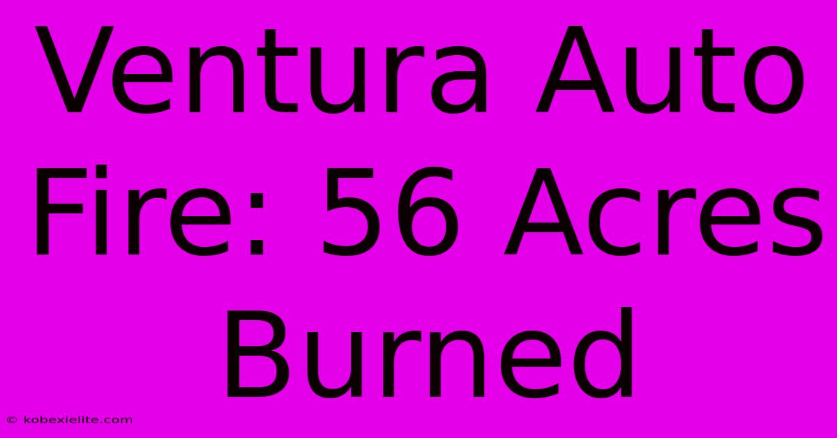 Ventura Auto Fire: 56 Acres Burned