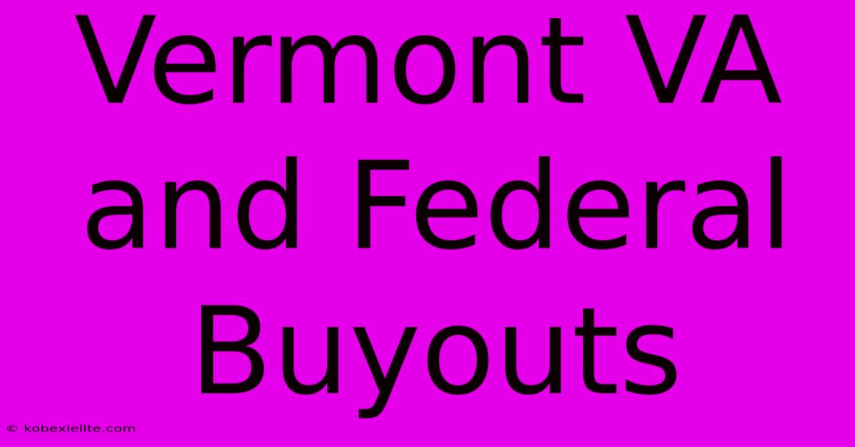 Vermont VA And Federal Buyouts