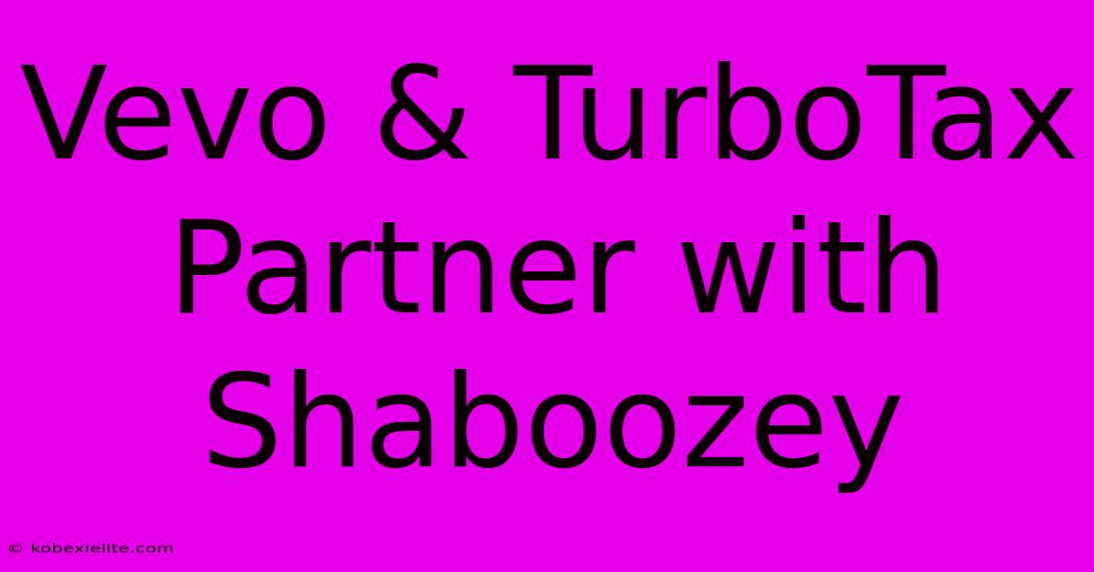 Vevo & TurboTax Partner With Shaboozey