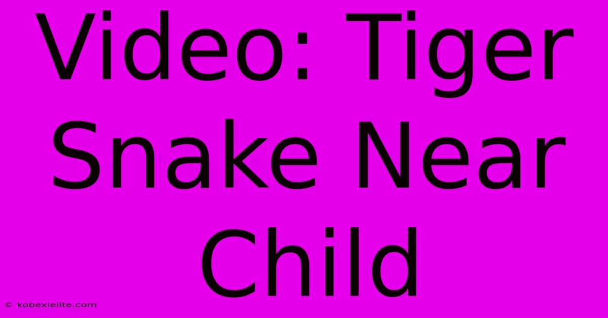 Video: Tiger Snake Near Child