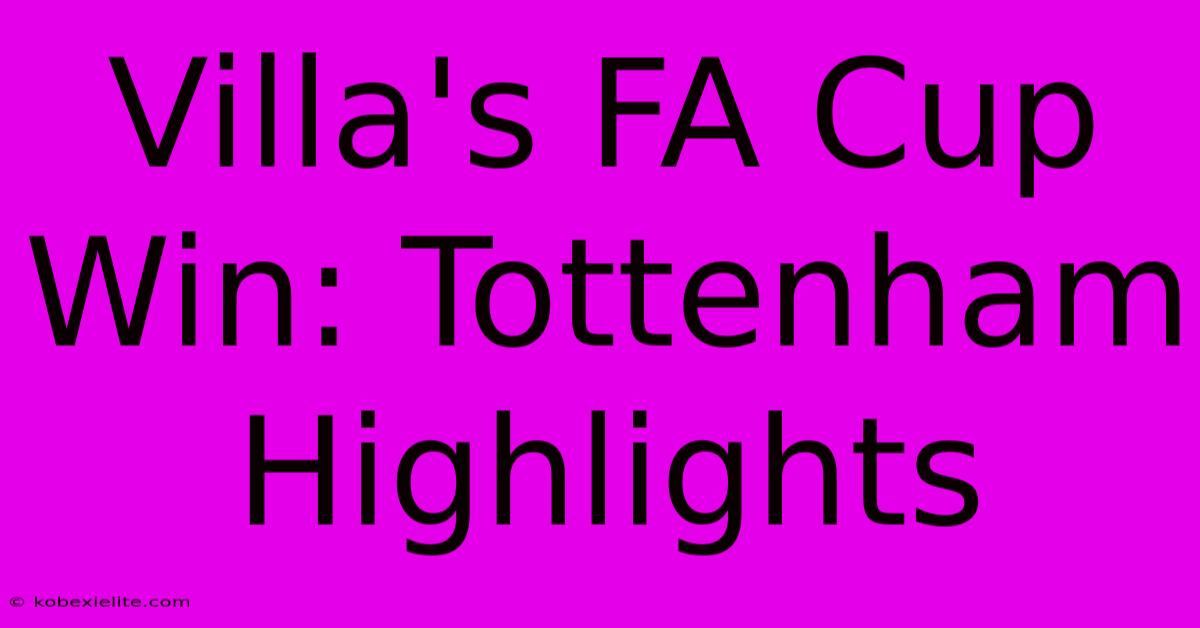 Villa's FA Cup Win: Tottenham Highlights