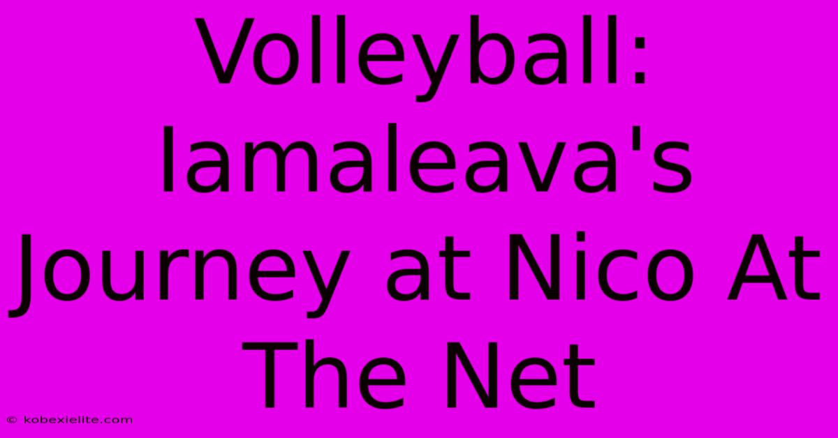 Volleyball: Iamaleava's Journey At Nico At The Net