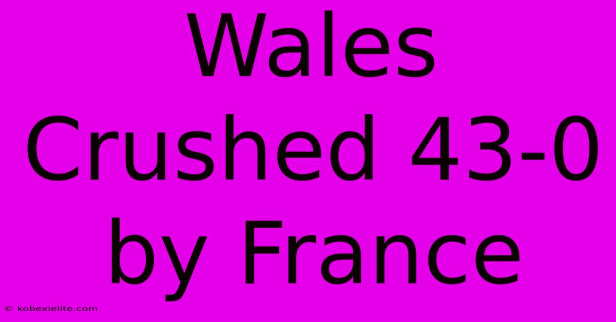 Wales Crushed 43-0 By France