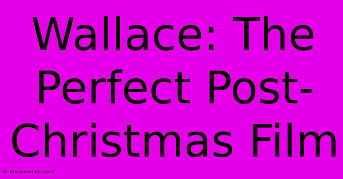 Wallace: The Perfect Post-Christmas Film