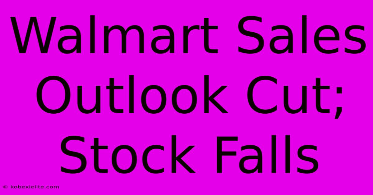 Walmart Sales Outlook Cut; Stock Falls